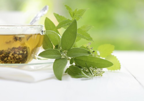 Exploring the Anti-Aging Properties of Tea